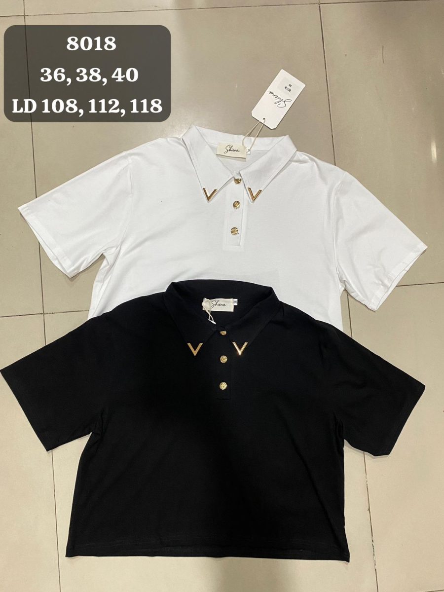 8018 Atasan V